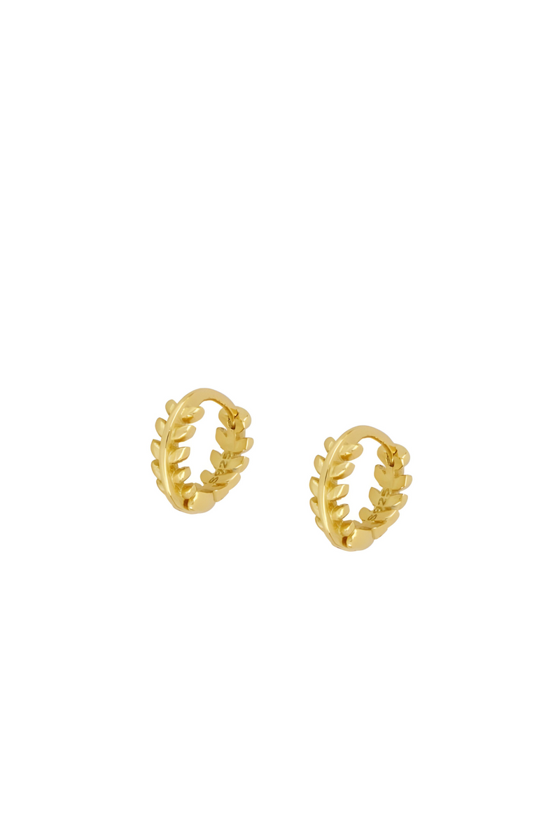 Earrings Dioni